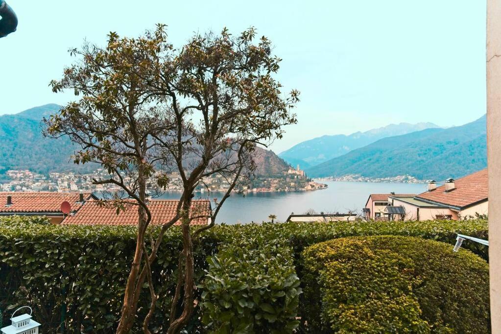 Miralago Lugano Sporting Club Διαμέρισμα Cuasso Al Monte Εξωτερικό φωτογραφία